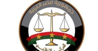 جولى امين - تفاصيل الخبر