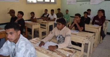 محافظة الجيزة - تفاصيل الخبر