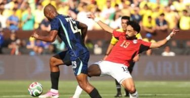 مصر - تفاصيل الخبر