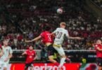 التشيك جنوب أفريقيا - تفاصيل الخبر