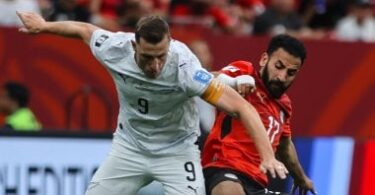 نيوزيلندا بلجيكا - تفاصيل الخبر
