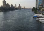ثعبان - تفاصيل الخبر