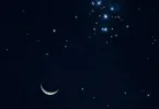الفجر - تفاصيل الخبر