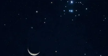 الفجر - تفاصيل الخبر