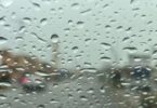 السعوديه - تفاصيل الخبر