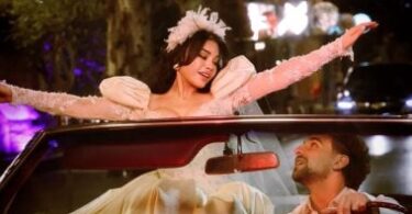 هيفاء وهبى - تفاصيل الخبر