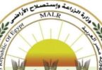 موز - تفاصيل الخبر