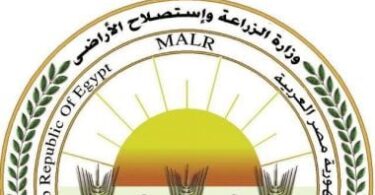 موز - تفاصيل الخبر