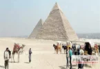 نجيب ساويرس - تفاصيل الخبر