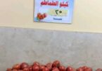 طماطم - تفاصيل الخبر