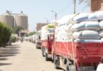 الشروق - تفاصيل الخبر