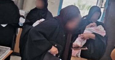 محافظة كفر الشيخ - تفاصيل الخبر
