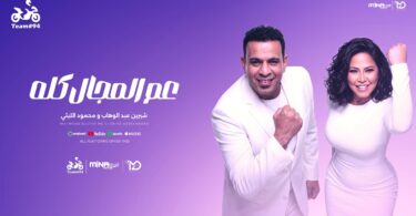 محمود الليثي شيرين عبد - تفاصيل الخبر