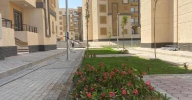 ضريبة - تفاصيل الخبر