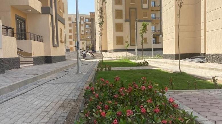 ضريبة - تفاصيل الخبر