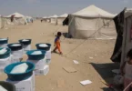 طفل - تفاصيل الخبر