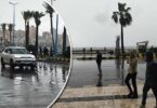 الإسكندرية - تفاصيل الخبر