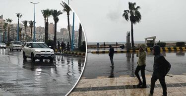 الإسكندرية - تفاصيل الخبر
