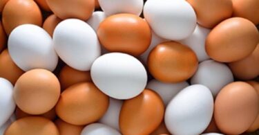 سعر الفراخ البيضاء اليوم - تفاصيل الخبر