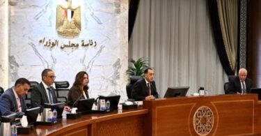 قطع الأشجار - تفاصيل الخبر