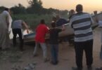 تمساح - تفاصيل الخبر