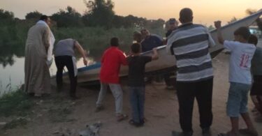 تمساح - تفاصيل الخبر