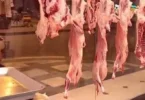 لحم الخنزير - تفاصيل الخبر
