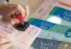 تأشيرة - تفاصيل الخبر