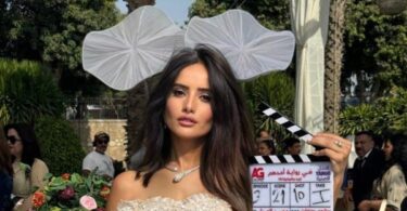 زينة - تفاصيل الخبر