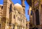 طائر المينا الهندي - تفاصيل الخبر