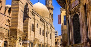 طائر المينا الهندي - تفاصيل الخبر