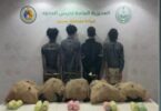 العربية - تفاصيل الخبر