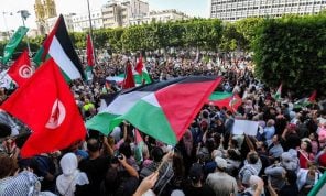 خبر - تفاصيل الخبر
