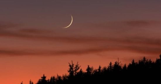 التقويم الهجري - تفاصيل الخبر