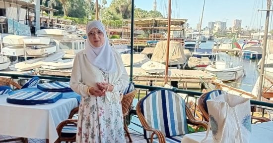 شمس البارودي - تفاصيل الخبر