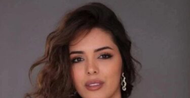 الفنانه ندى دندش - تفاصيل الخبر