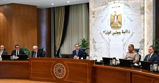 مجلس الوزراء - تفاصيل الخبر