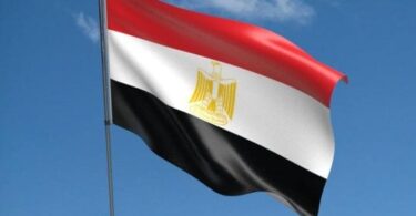 عزة رمزي - تفاصيل الخبر