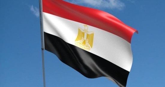 عزة رمزي - تفاصيل الخبر