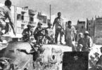 السويس - تفاصيل الخبر