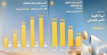 الهيئة القومية للتأمين الاجتماعي - تفاصيل الخبر