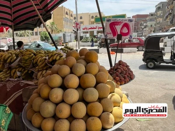 طماطم - تفاصيل الخبر