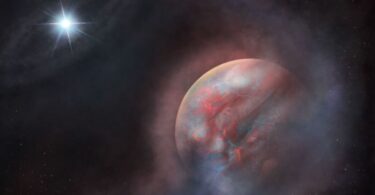 كوكب - تفاصيل الخبر