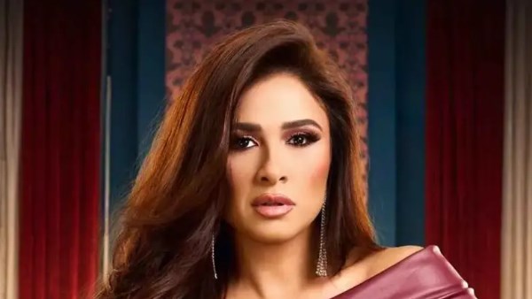 ياسمين عبد العزيز - تفاصيل الخبر