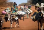 جنوب السودان - تفاصيل الخبر