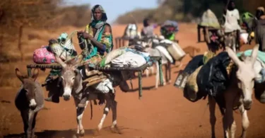 جنوب السودان - تفاصيل الخبر