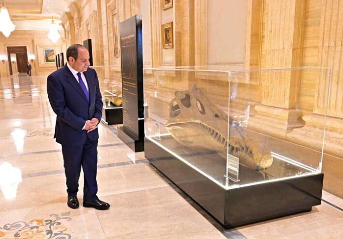 ديناصور - تفاصيل الخبر