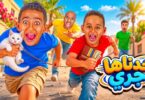 كينج اياد كينج مصر - تفاصيل الخبر